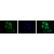 Immunocytochemistry: HIF-1 alpha Antibody [NB100-479] - Detection of HIF-1 Alpha (green) in RCC4 cells using NB100-479.  Nuclei (Blue) were counterstained using Hoechst 33258.